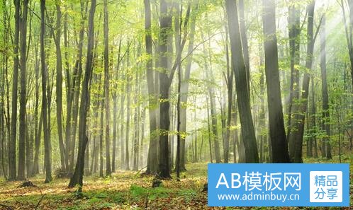 三国家为啥突然重视河南?