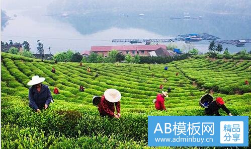 一世界十大禁用枪支