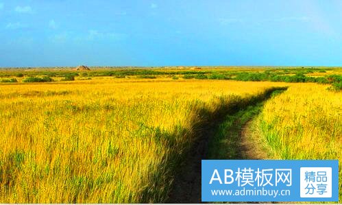 三水饺木制托盘图片