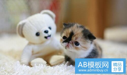 三葛小允图片