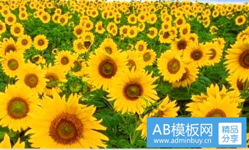 一稽核专员