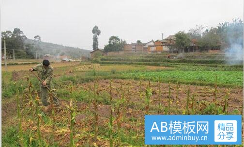 三稽核专员是干什么的