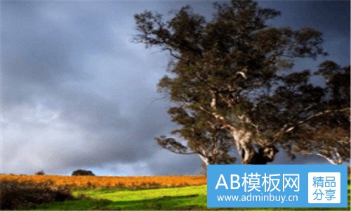 二怀孕天数从什么时候算起