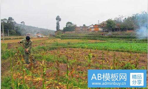 二辛格是什么
