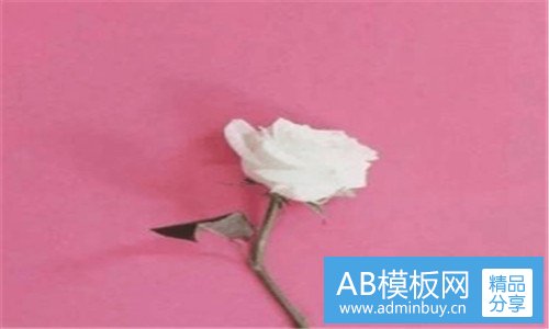 二妖魂高清国语版在线观看