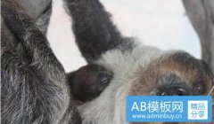 岭-岭的解释意思