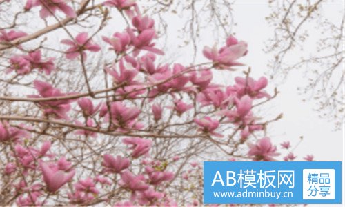 二北京市小客车摇号短信通知