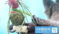 期货私募基金-期货私募基金排行