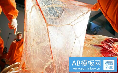 三女主很娇媚的清穿空间文