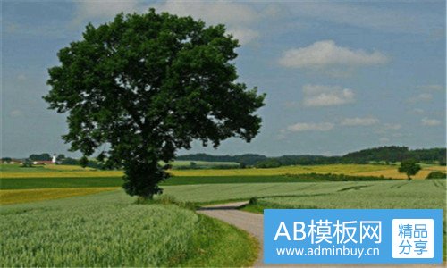 一还没来得及