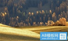 多斯-拳击教练多斯
