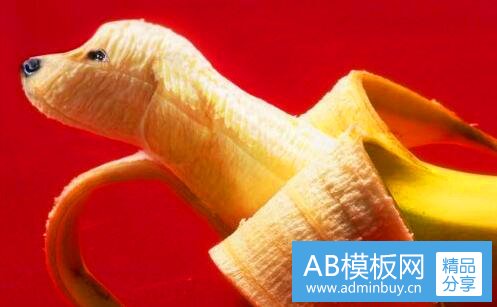 二美国二手车价格参考