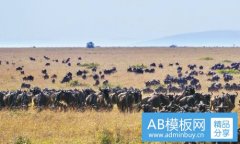传染病学-传染病学 第九版 pdf