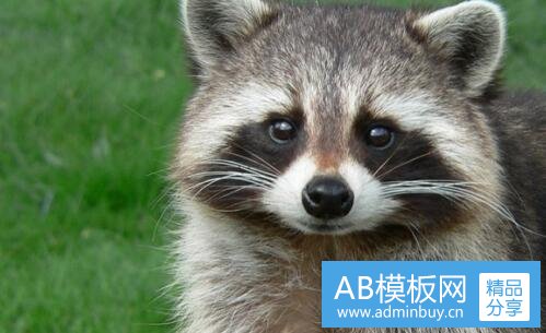 二东乌旗信息网