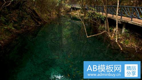 三怎么建立网站关键词