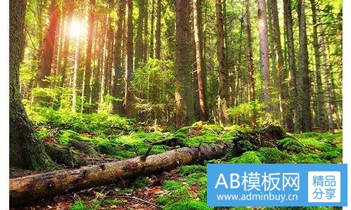 二魔兽传奇官网