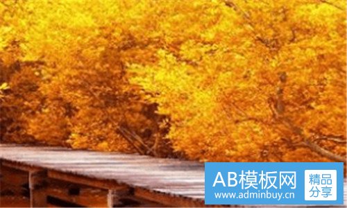 二防身折叠小刀