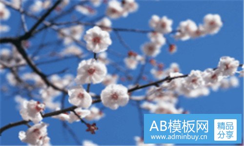 二广州外国人三元里事件