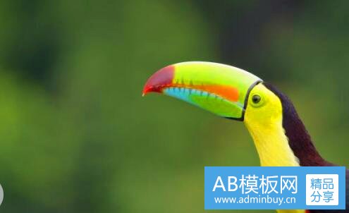一简历封皮下载