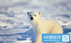 东莞欢笑天地-增城景点大全自驾游
