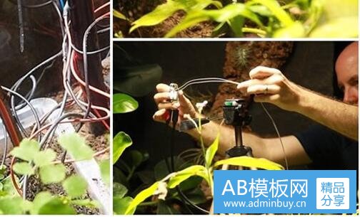 三九咆界风景区农家乐