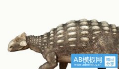 海盗杰克-黑衣人1国语版免费高清