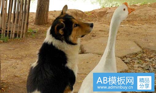 一什么都没留