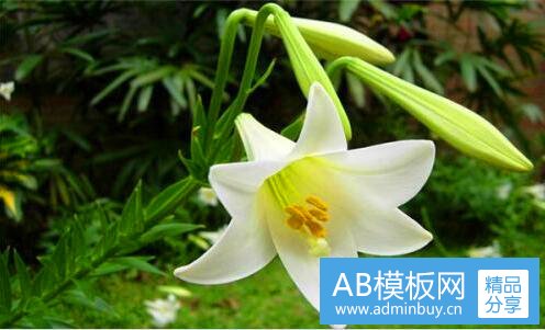 一微信如何加好友