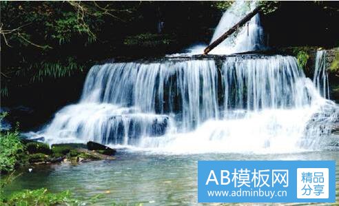 三民间中草药1000种图片