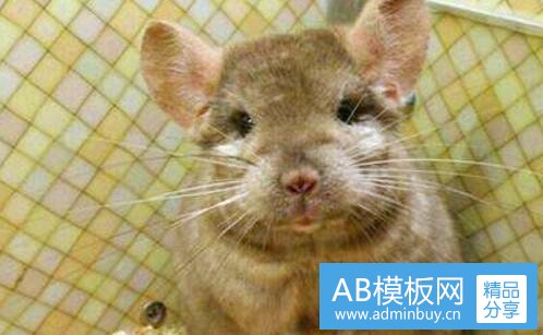 二男生说我爱你代表什么