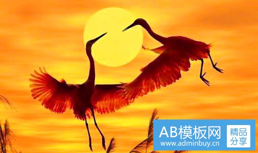 二赫拉官网旗舰店