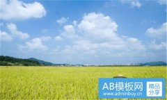 chorus-举例说明歌曲中bridge