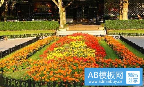 三澳洲旅游签证如何办理