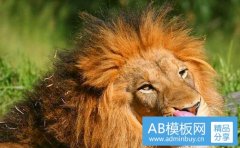青轴键盘-海盗船k68红轴和青轴哪个好