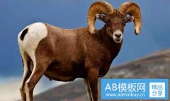 神威药业招聘-石药集团最新招聘信息