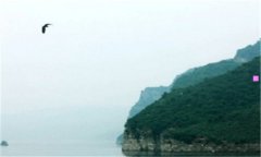 托运行李-托运行李注意事项