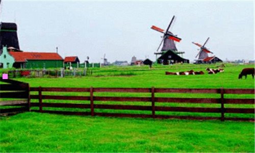 二来安县城区地图