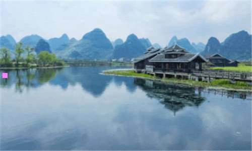 二伊利金典纯牛奶真假图