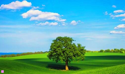 三广州必吃的美食餐厅