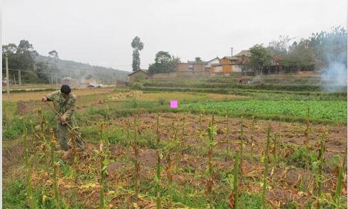 三太原市最新区域划分图
