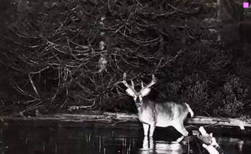 二深圳宝安七天酒店