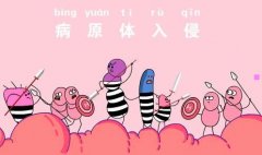 奇丽尔-奇丽尔内衣官网
