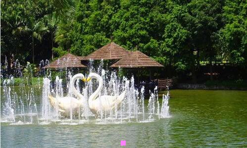 三信阳汽车站时刻表查询