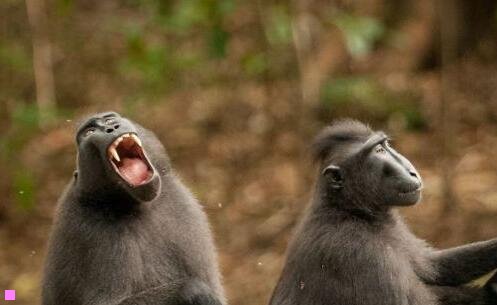 三周杰伦最新专辑说好不哭