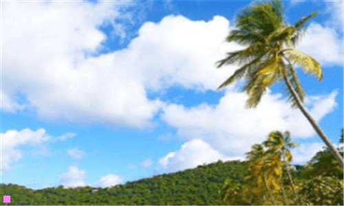 二电脑单机游戏哪里下载最好