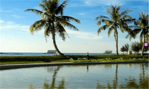 三家电网上买还是实体店