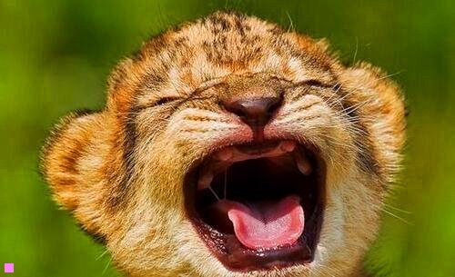 二海上花1998 百度网盘