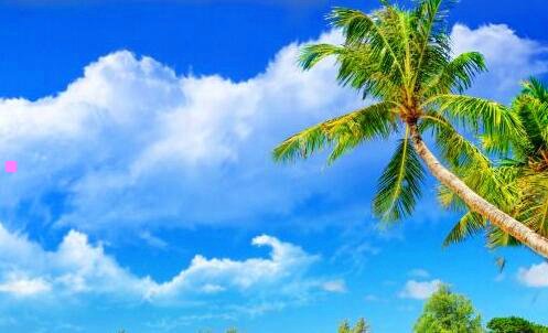 二沈阳凯宾斯基酒店价格