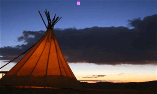 二2019年宣布灭绝的动物