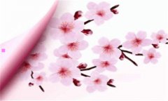 5个月宝宝-进入第五个月宝宝特点